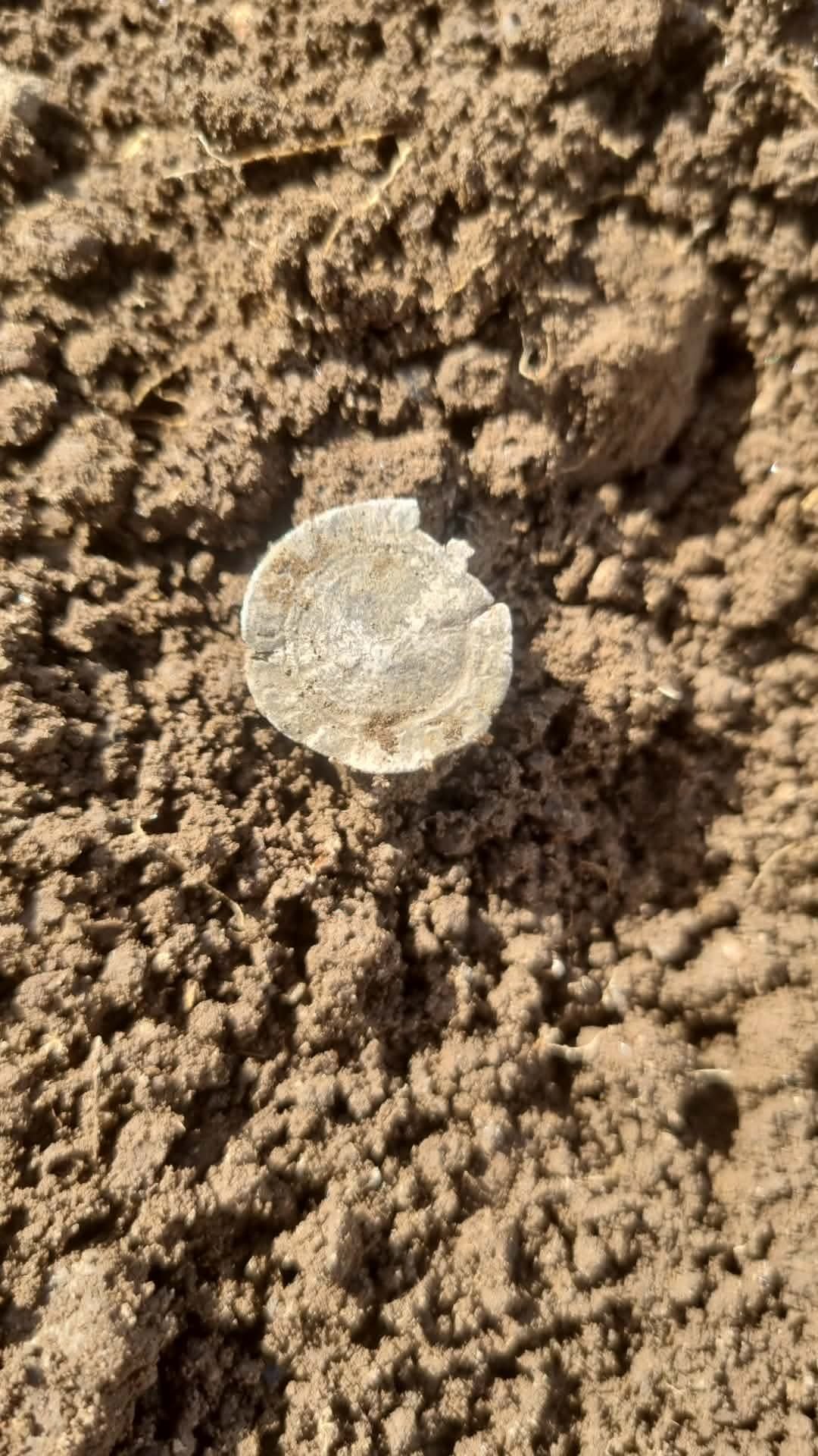 Top find submitted by Robert jack